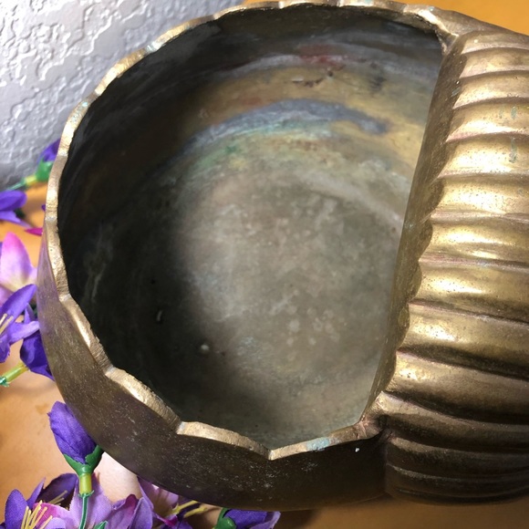 Solid Brass Clipart Conch Sea Shell Planter Vase - Picture 3 of 7